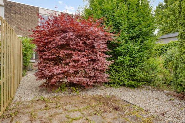 Medium property photo - Melkweg 4, 4286 CE Almkerk